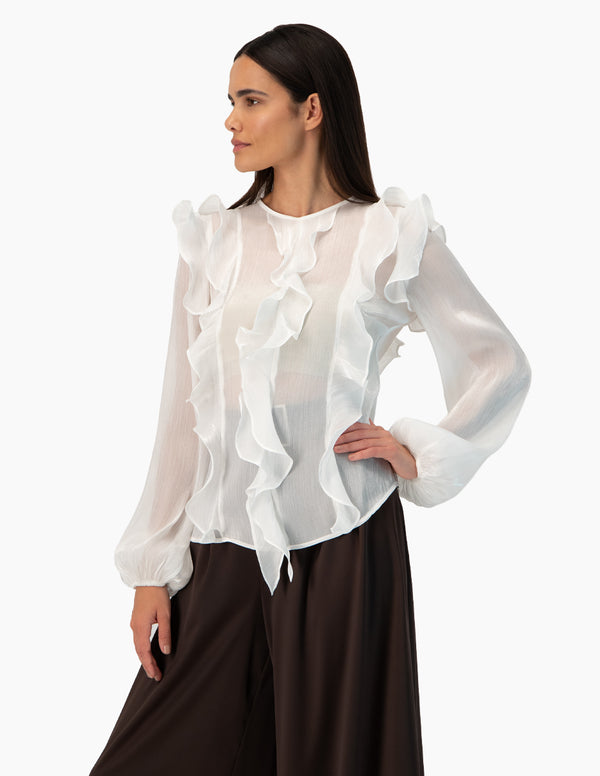 Blusa transparente de manga larga